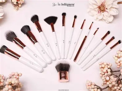 BRUSH SET ( MET GRATIS KOKER )